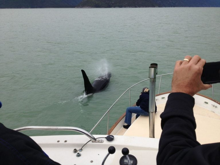 Good thing these folks weren’t forced to stay on just the back deck
