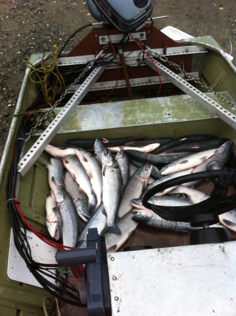 Subsistence river fishing