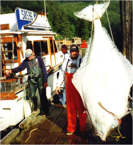 Captain Ken with a Giant Halibut his client caught out on the coast.